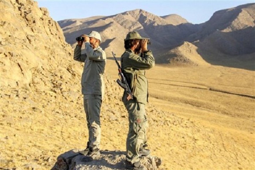 طبیعت بی‌پناه در زاگرس؛وقتی هر محیط‌بان باید از ۴هزار هکتار محافظت کند