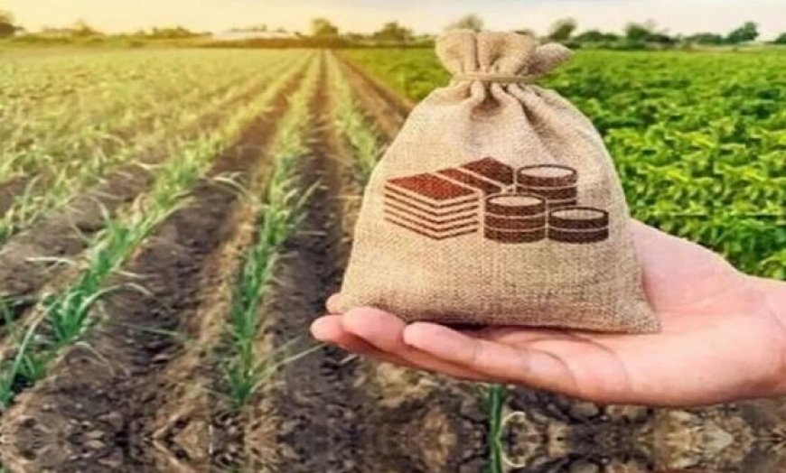 بوشهر در جذب اعتبارات منابع طبیعی کشور اول شد