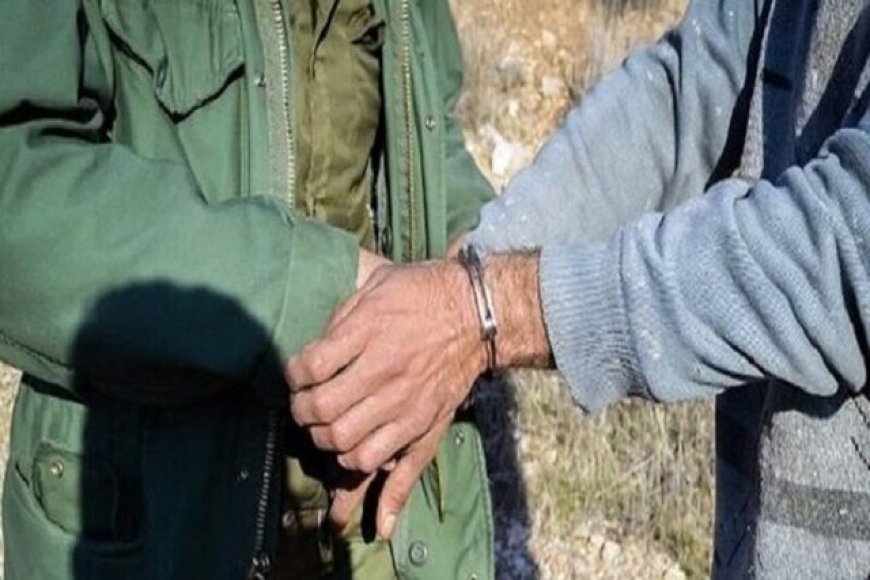 شکارچی غیرمجاز دیّری در دام قانون