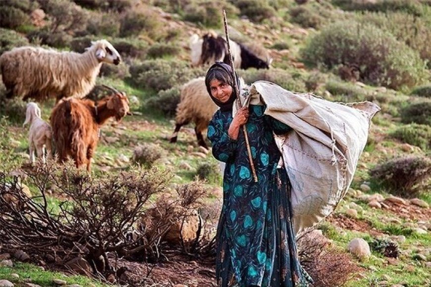 توزیع عادلانه خدمات میان عشایر ضروری است
