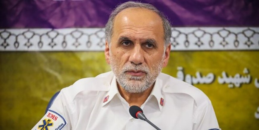 ۲ نفر از شهدای کادر درمان زنان باردار بودند