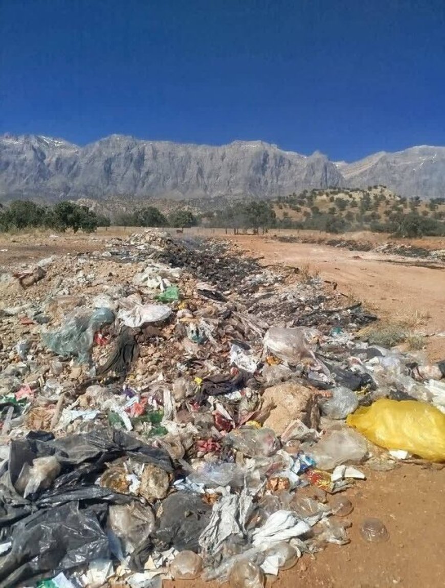 ۵ مسئول محلی دنا به دلیل تخلفات زیست‌محیطی به دستگاه قضایی معرفی شدند