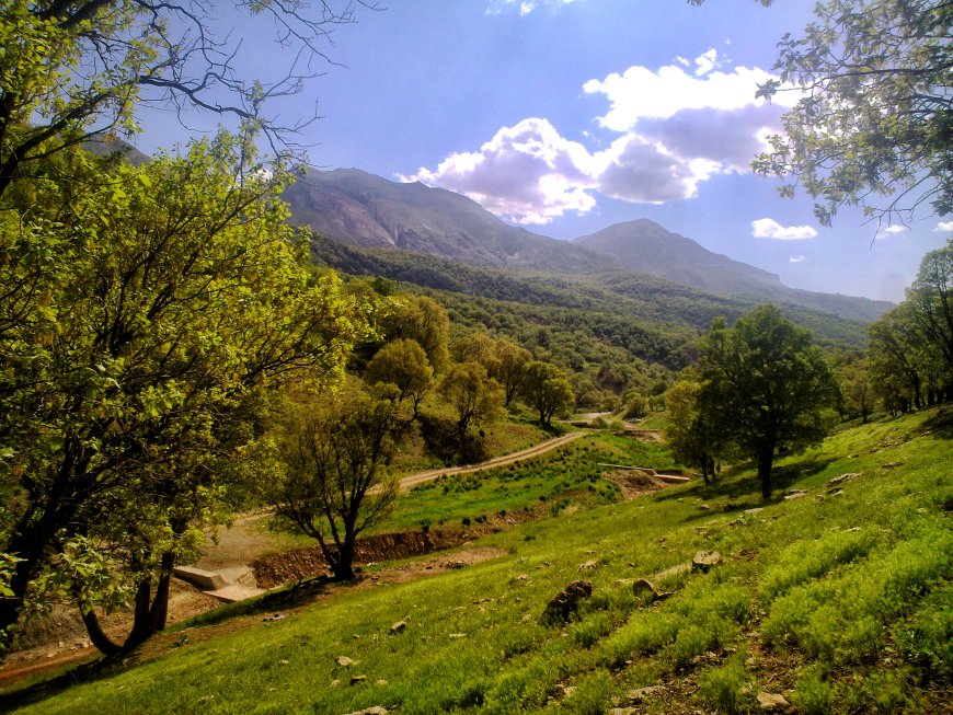 پایش علمی ۳۰ هکتار از زاگرس خوزستان برای احیای پوشش گیاهی