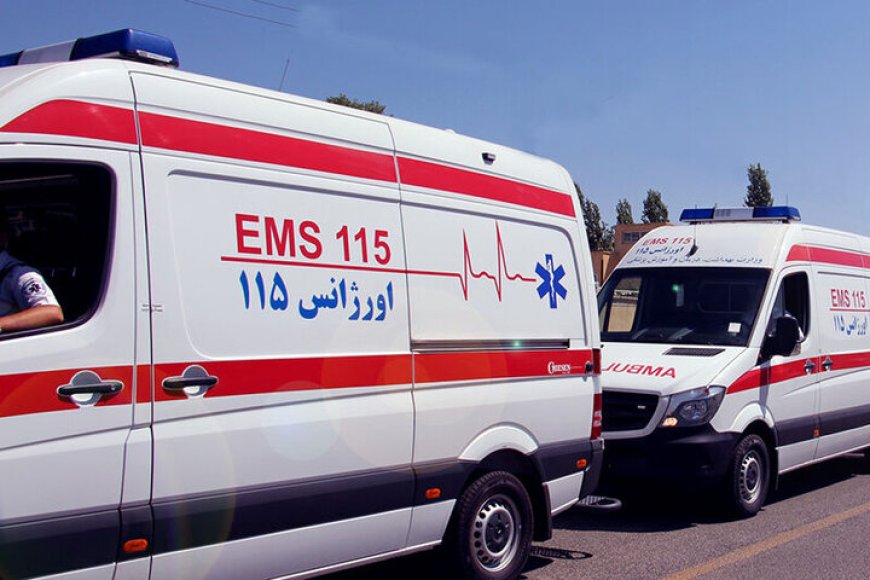 اورژانس استان بوشهر نوسازی می شود؛ تامین ۲۰ دستگاه آمبولانس جدید