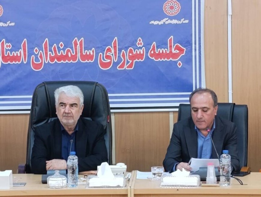 ۱۰ درصد جمعیت کهگیلویه و بویراحمد سالمند هستند