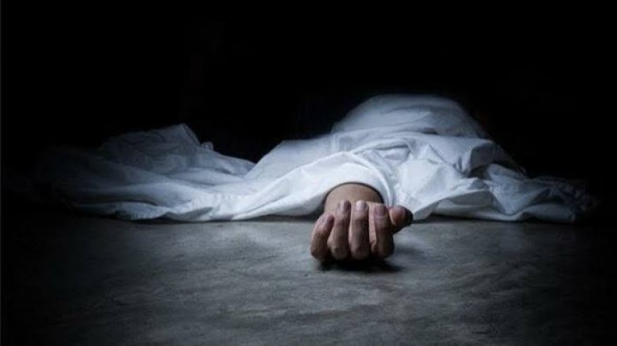 کشف راز قتل زن سالمند در شیراز با دستگیری سارقان