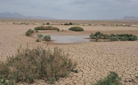 همکاری خوزستان و شرکت روسی برای مهار بیابان‌زایی و کاهش گردوغبار