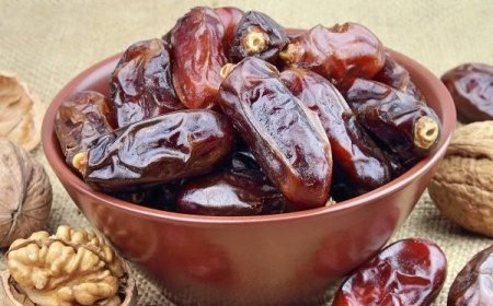 خرمای هرمزگان در مسیر بازارهای جهانی؛ صادرات ۶۵ هزار تنی در برنامه امسال