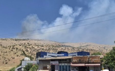 ارتفاعات باباکوهی‌ شیراز باز هم شعله‌ور شد