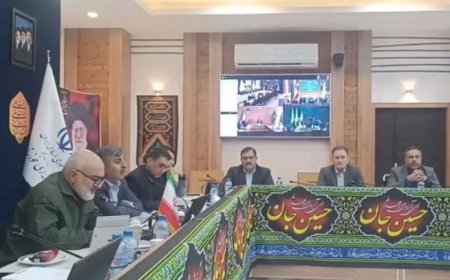 تسریع در اجرای پروژه فیبر نوری سوسنگرد به چذابه ضروری است