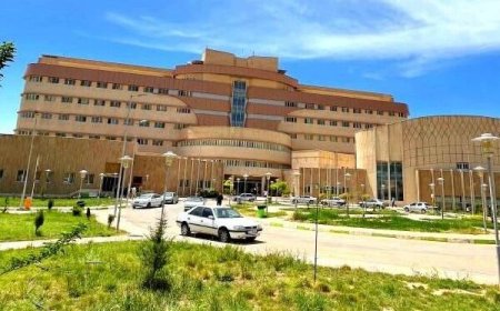 حمله با سلاح سرد به نیروهای حراست بیمارستان شهید دکتر جلیل یاسوج