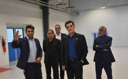 مدیرکل صمت فارس: رفع موانع تولید زمینه‌ساز افزایش اشتغال و توسعه صادرات است