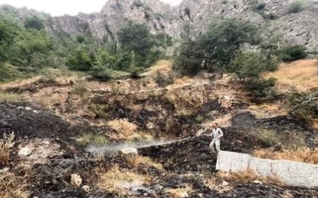دستگیری عاملان آتش‌سوزی در عرصه‌های طبیعی استان فارس