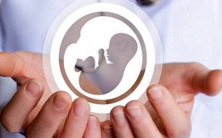 ارائه خدمات رایگان سلامت باروری به زنان در میناب