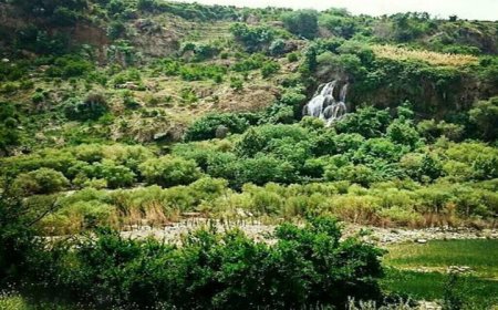 جنگل‌های کوهمره سرخی شیراز ظرفیت ملی فارس برای توسعه گردشگری طبیعی