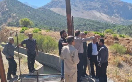 تأسیسات انسانی تهدیدی برای حیات‌وحش دنا؛ ضرورت حفاظ‌گذاری کانال سی‌سخت