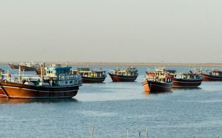 فرماندار سیریک، مهلت ۱۲ روزه برای تخلیه کامل لنج‌های تجاری را ابلاغ کرد