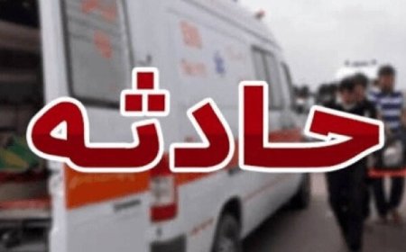 واژگونی مینی‌بوس حامل دانش‌آموزان دیری ۲۵ مصدوم داشت