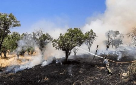 آتش‌سوزی در گردوه بویراحمد مهار شد