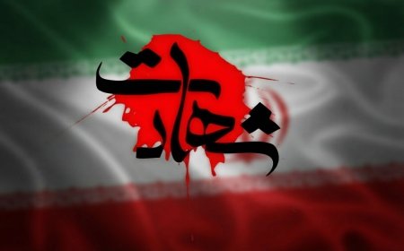 شهادت مأمور انتظامی در شهرستان بویراحمد هنگام اجرای مأموریت قضایی