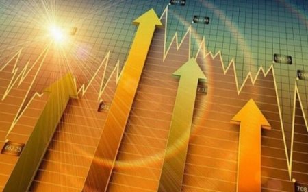مصرف برق در شیراز ۷.۷۸ درصد افزایش یافت