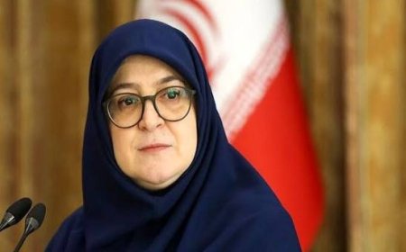 سخنگوی دولت وارد هرمزگان شد