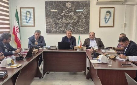 استانداری فارس: حضور میدانی فرمانداران، کلید کاهش تصادفات جاده‌ای است