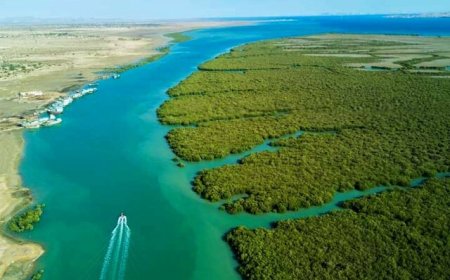 گونه‌های موزه تنوع زیستی پارک ملی نای‌بند پایش شدند