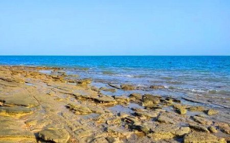 وضعیت جوی و دریایی استان بوشهر آرام است؛افزایش شرجی و رطوبت از جمعه