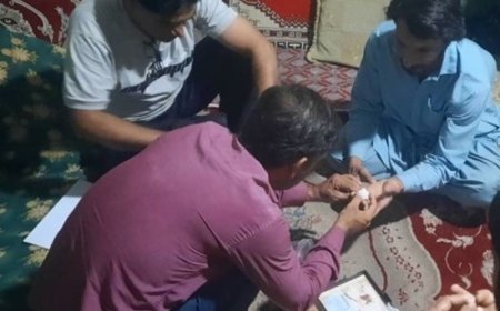 غربالگری گروه‌های پرخطر مالاریا در میناب