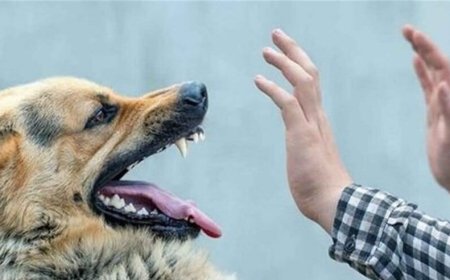 مرگ یک کودک در سنندج، زنگ خطر برای شیراز
