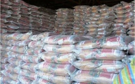 ۷۴ تن برنج احتکار شده در بوشهر کشف شد