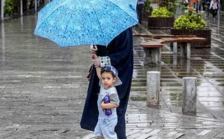هواشناسی فارس: رگبار در جنوب استان، باد شدید در راه شمال فارس