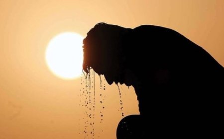 هشدار به بوشهری‌ها؛ موج گرمای شدید استان را فرا می‌گیرد