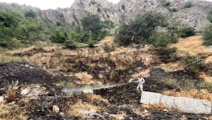 دستگیری عاملان آتش‌سوزی در عرصه‌های طبیعی استان فارس