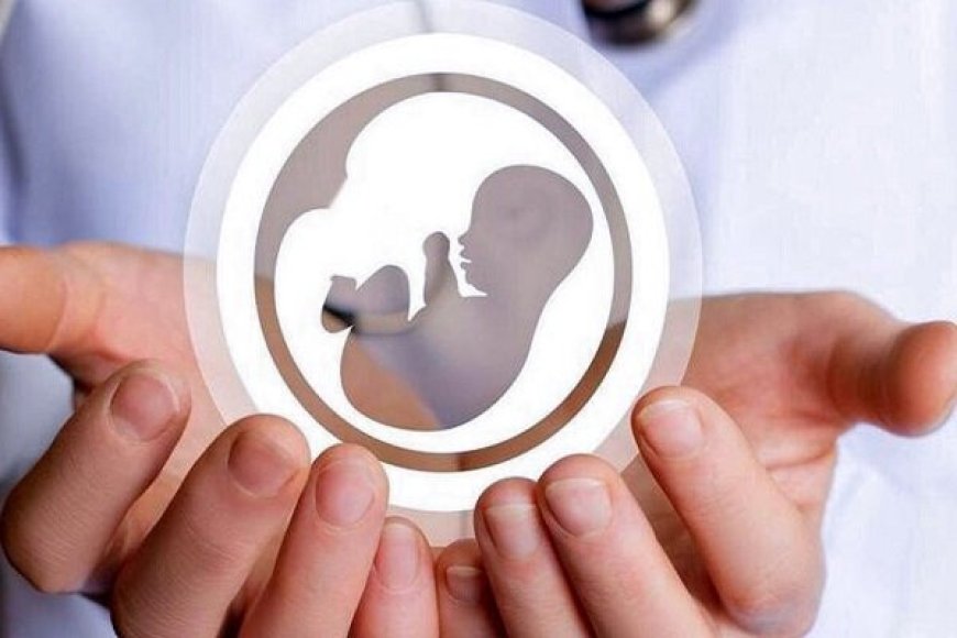 ارائه خدمات رایگان سلامت باروری به زنان در میناب