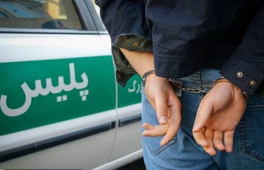 دستگیری عاملان سرقت خشن طلا از بانوی دهدشتی؛ ۴ متهم در چنگال پلیس