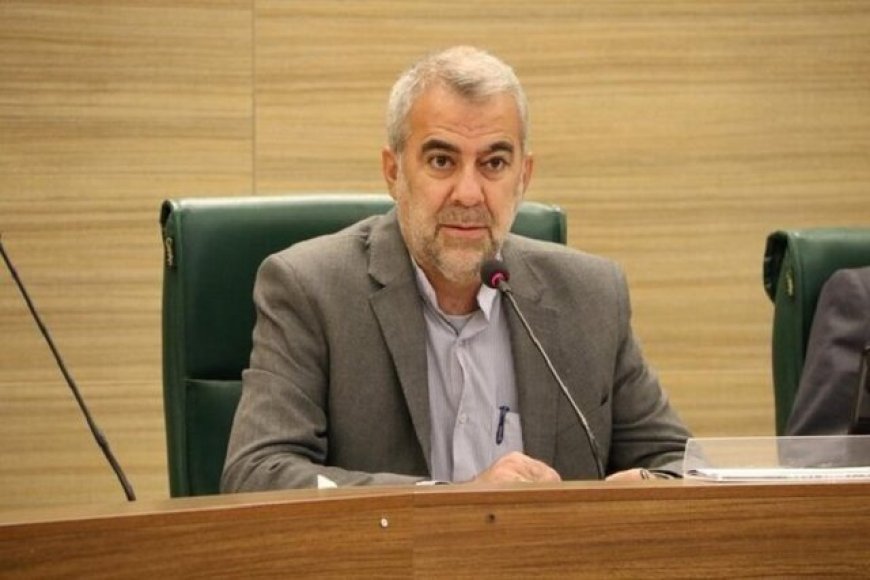 عضو شورای شهر شیراز: بخشی از درآمد جرایم رانندگی به شهرداری اختصاص یابد
