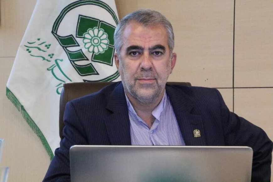 بزرگراهی در تهران به نام حضرت شاهچراغ(ع) نامگذاری شود