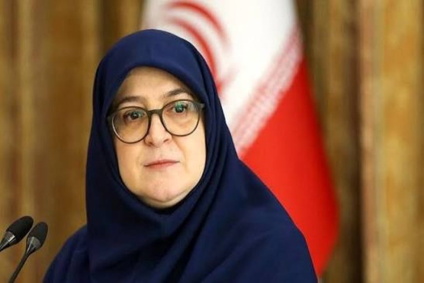 سخنگوی دولت وارد هرمزگان شد