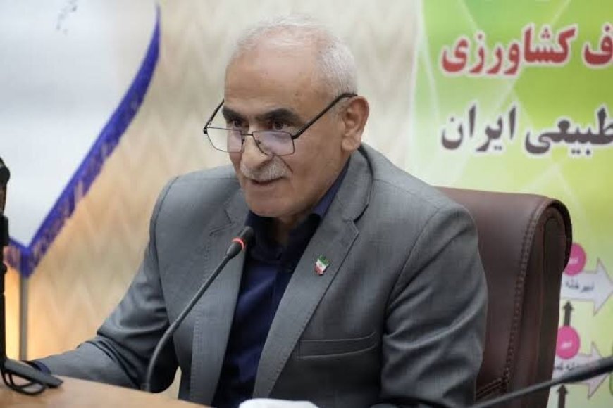 آسیب به ۷۷ انبار تعاون روستایی در ۱۳ استان؛ بازسازی با دستور ویژه رئیس‌جمهور