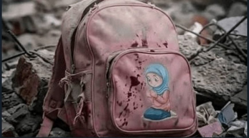 دانش‌آموزان بازمانده مدرسه میناب بورسیه شدند