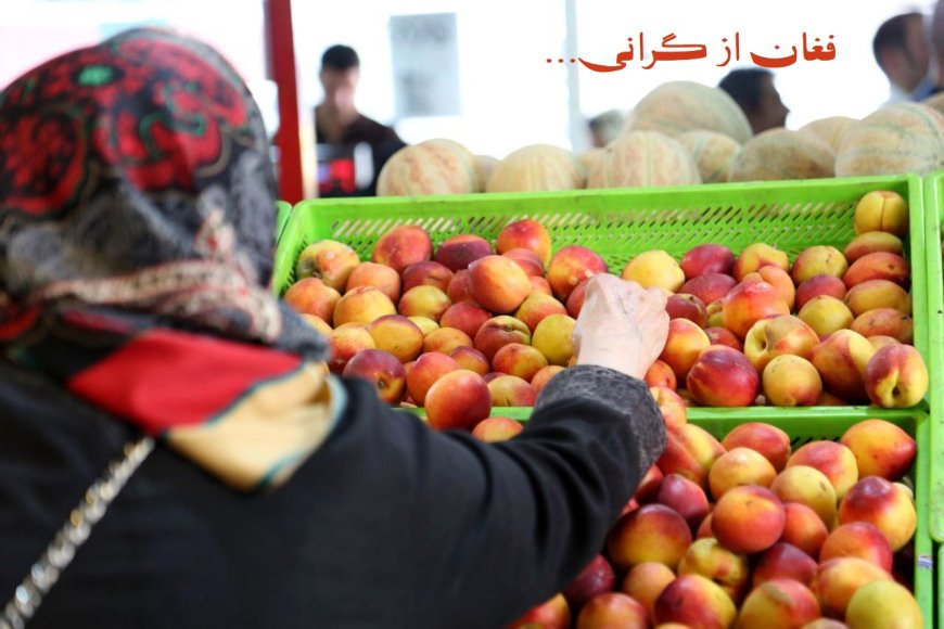 پای میوه در گیوه گرانی!