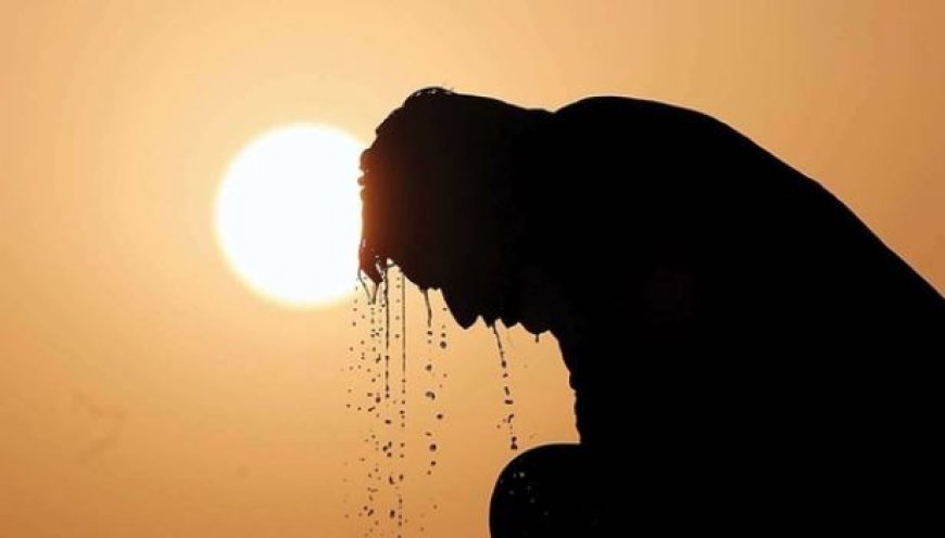 هشدار به بوشهری‌ها؛ موج گرمای شدید استان را فرا می‌گیرد