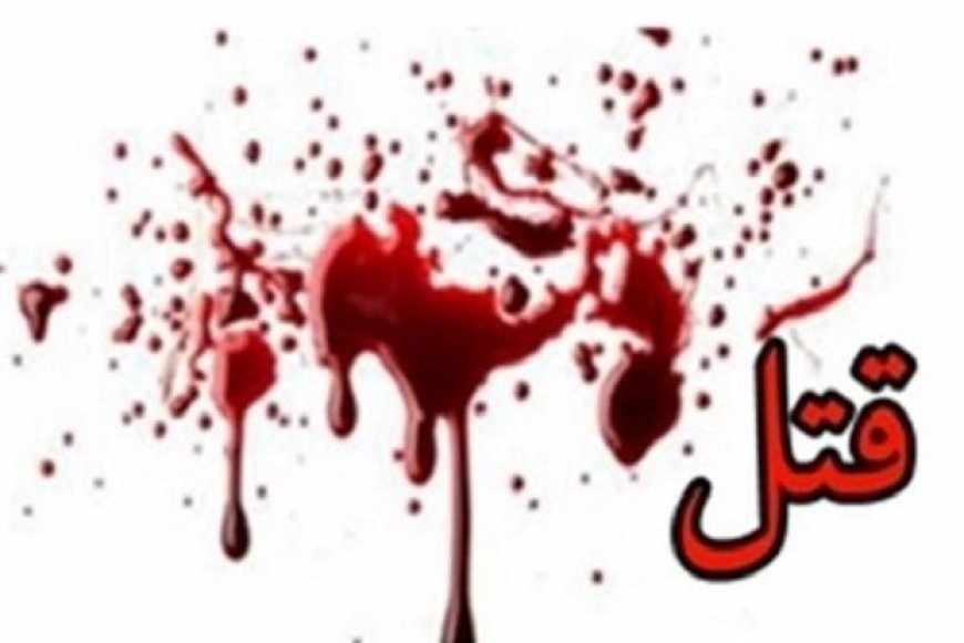 جزئیات ۲ پرونده قتل در دشتستان