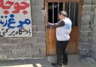 مراکز غیرمجاز عرضه مرغ زنده در منطقه مزدک بویراحمد مهر و موم شد