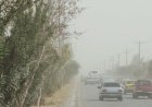 وزش بادهای ۱۲۰ روزه سیستان در هرمزگان؛ هشدار هواشناسی نسبت به افزایش دما و تلاطم دریا