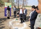 زیرساخت‌های حفاظتی پارک ملی بمو تقویت می‌شود