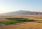 آزادسازی اراضی ملی در بوشهر؛ ۳۲ پرونده تشکیل شد