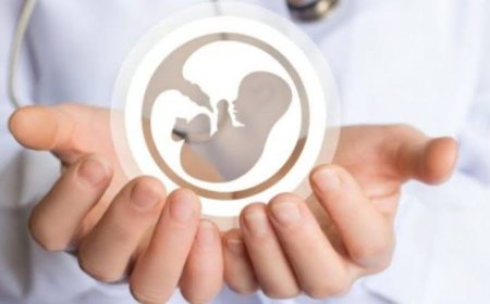 فناوری‌های نوین کمک‌باروری، امیدی تازه برای زوج‌های نابارور در شیراز